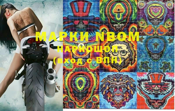 прущие грибы Арсеньев