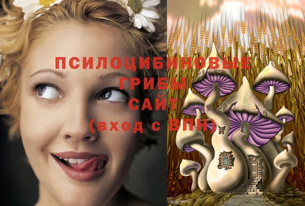 альфа пвп Армянск