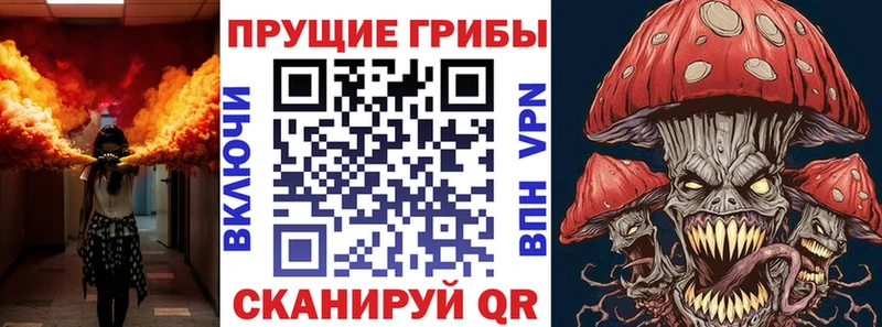 где можно купить   Иннополис  Галлюциногенные грибы мухоморы 